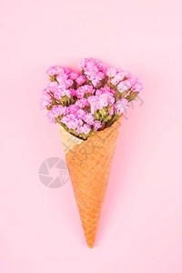 鲜艳的粉红色花朵图片