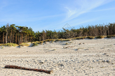 波罗的海半岛命名达尔斯拥有天然海岸和图片