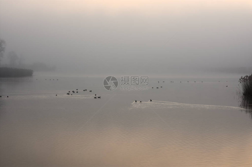 在湖的冬天日出图片