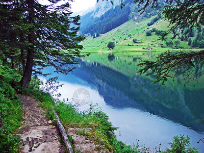山湖Golzerensee或BergseeGolzernsee图片