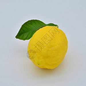 新鲜柠檬新鲜切开图片