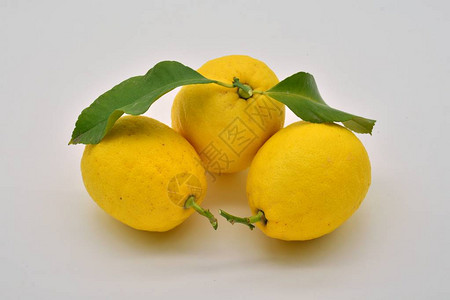 新鲜切柠檬一套图片