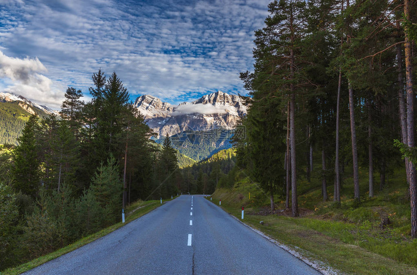 意大利的白云石阿尔卑斯山美好的一天公路穿过石灰岩和白云岩脚下的针叶林积极和汽图片