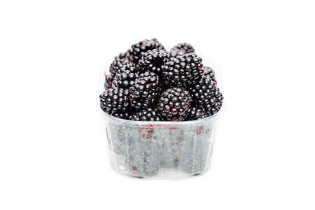 黑莓在空白背景的容器图片