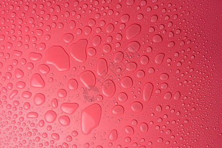 粉红色的纯净的底水滴用图片