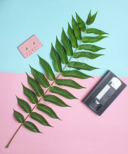 录音磁带录像带彩色糊面背景上的青叶子retro媒体模拟技术植物风图片