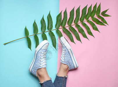 紧撕破牛仔裤运动鞋粉红色蓝面纸背景的青叶子顶端视野植物风格最低要图片