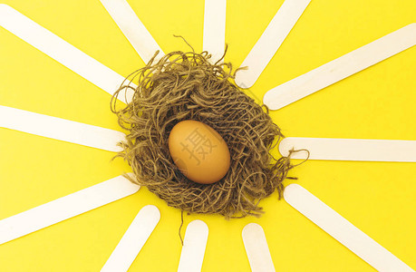 用木棍筑巢的有机鸡蛋在黄图片