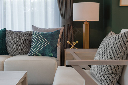 带有现代沙发和套枕头的现代客厅室内图片