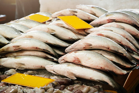 新鲜市场销售商鱼海图片
