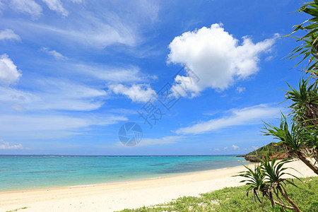 冲绳美丽海滩的图片图片
