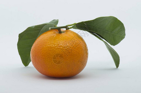 橘子在白色背景拍摄图片