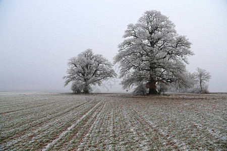 与领域的冬天农村风景图片