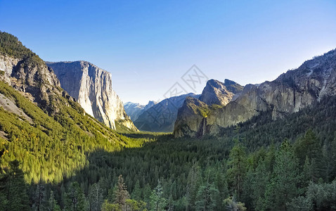 Yosemite公园森图片