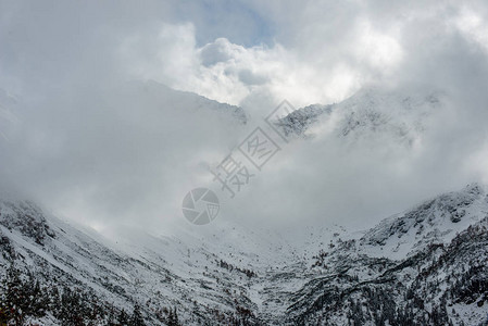 斯洛伐克tatra山脉的雪覆盖旅游小径雾蒙的冬日图片