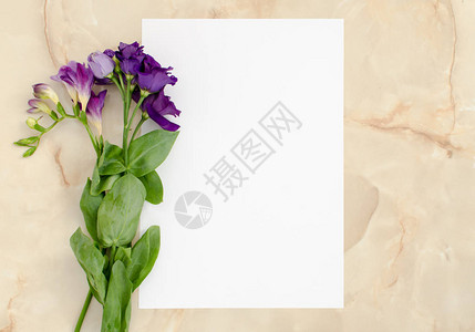 鲜花和文本的空白纸卡图片