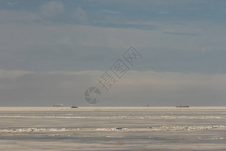 托尔布欣俄罗斯圣彼得堡克伦什塔德特芬兰湾托尔布背景