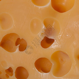奶酪的质地特写背景图片