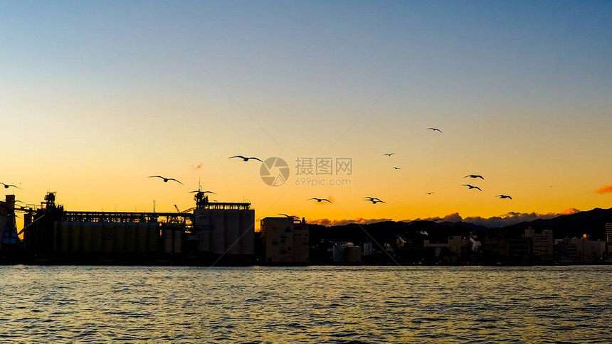 SeagullBlur在MreamFerry迷你游轮上搭乘日落天空从日本静冈河湖Haman图片