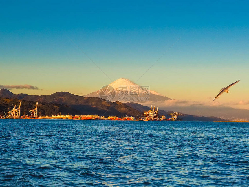 梦幻渡轮迷你游轮上的海鸥飞和富士山背景从日本静冈县滨名湖出发图片