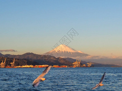 梦幻渡轮迷你游轮上的海鸥飞和富士山背景从日本静冈县滨名湖出发图片