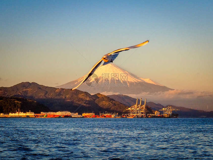 梦幻渡轮迷你游轮上的海鸥飞和富士山背景从日本静冈县滨名湖出发图片