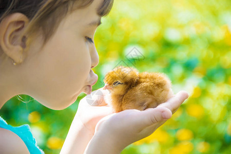 孩子手里握着一只鸡有选择的图片