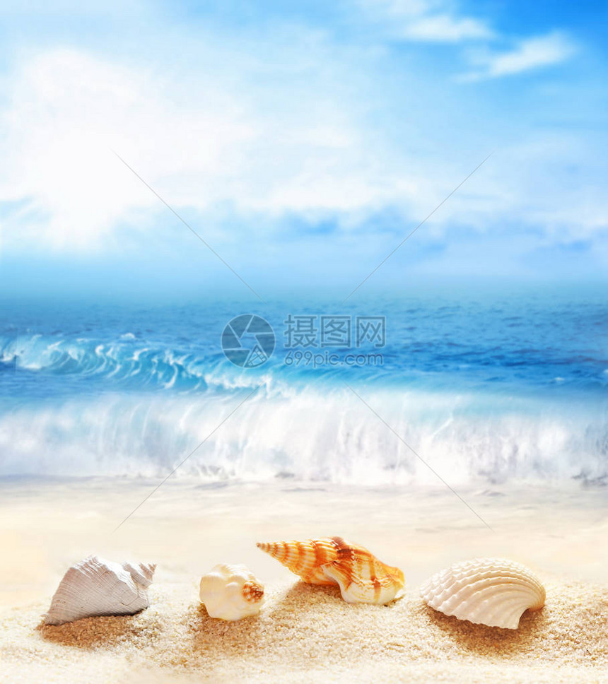 夏天海滩沙滩上环绕着沙滩和图片