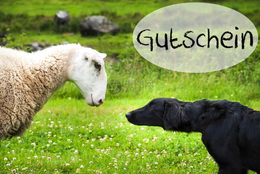 狗在羊群与讲演气球相遇德国文本古采林的意思是邮袋挪图片