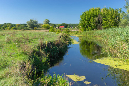 乌克兰Poltavskaya州MalaRublivka村小河梅图片