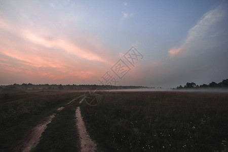 日出在田地上雾农村图片