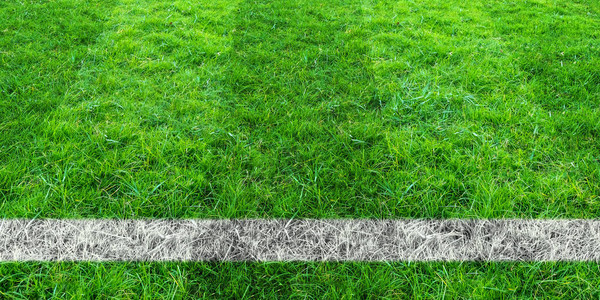 足球场绿色草地的足球线以绿草坪为运动背图片