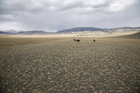 在西蒙戈利亚的景高清图片