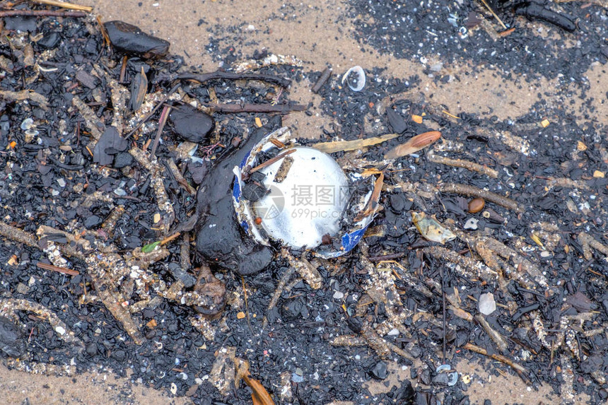 污染的环境形象与铝饮料罐的残骸被冲到了苏格兰欧文北艾尔郡的海滩上饮料罐的下半部分有锋利的边缘图片
