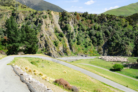 新西兰南岛山上在公路附近拦着高清图片