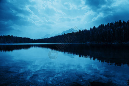Herbert湖带森林湖高清图片