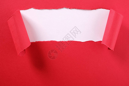 撕裂的红纸条卷曲边缘露出白色背景图片