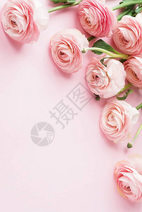 粉红色背景的花朵图片