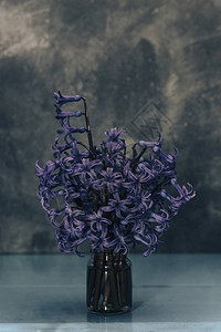 花瓶里的紫色风信子花图片