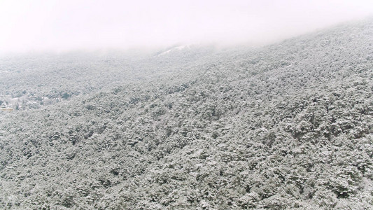 美国犹他州陡峭山坡上的雪松树的美丽景观雾蒙的山丘覆盖着白图片