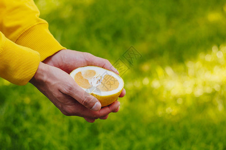 男人手里握着公园树木和绿草地背景上一半的切黄橙阳光明媚的一天图片