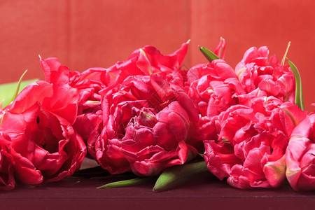 红色和粉红色郁金香的春花柱图片