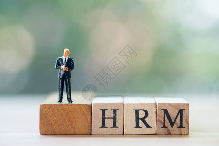 微型商人站在木块字HRM上的人力资源管理概念背景图片