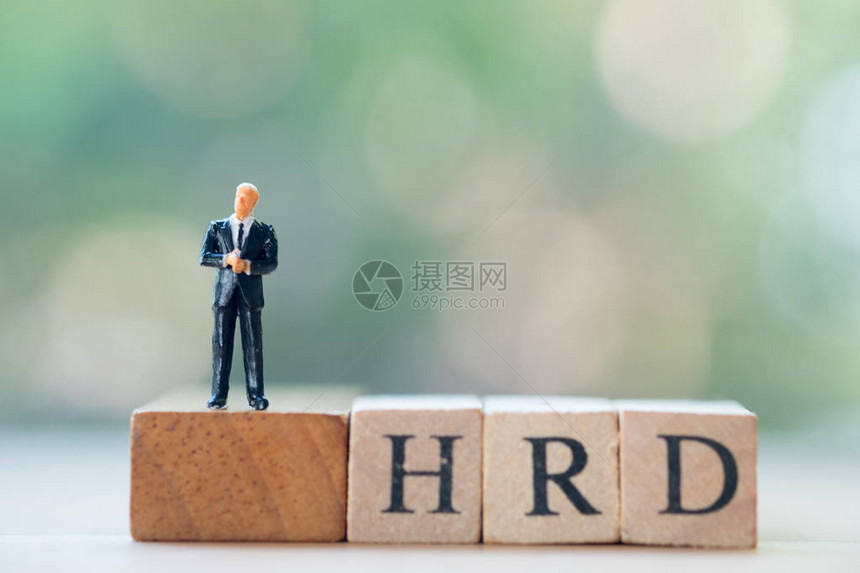 微型商人站在木块字HRD在人力资源开发概念的概念图片