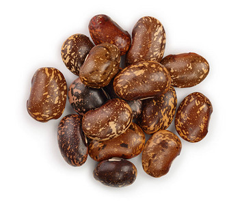 白色背景的棕色肾脏豆子图片