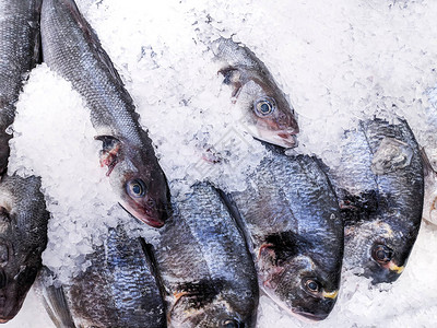 新鲜市场上冰的鲷鱼和鲈鱼图片