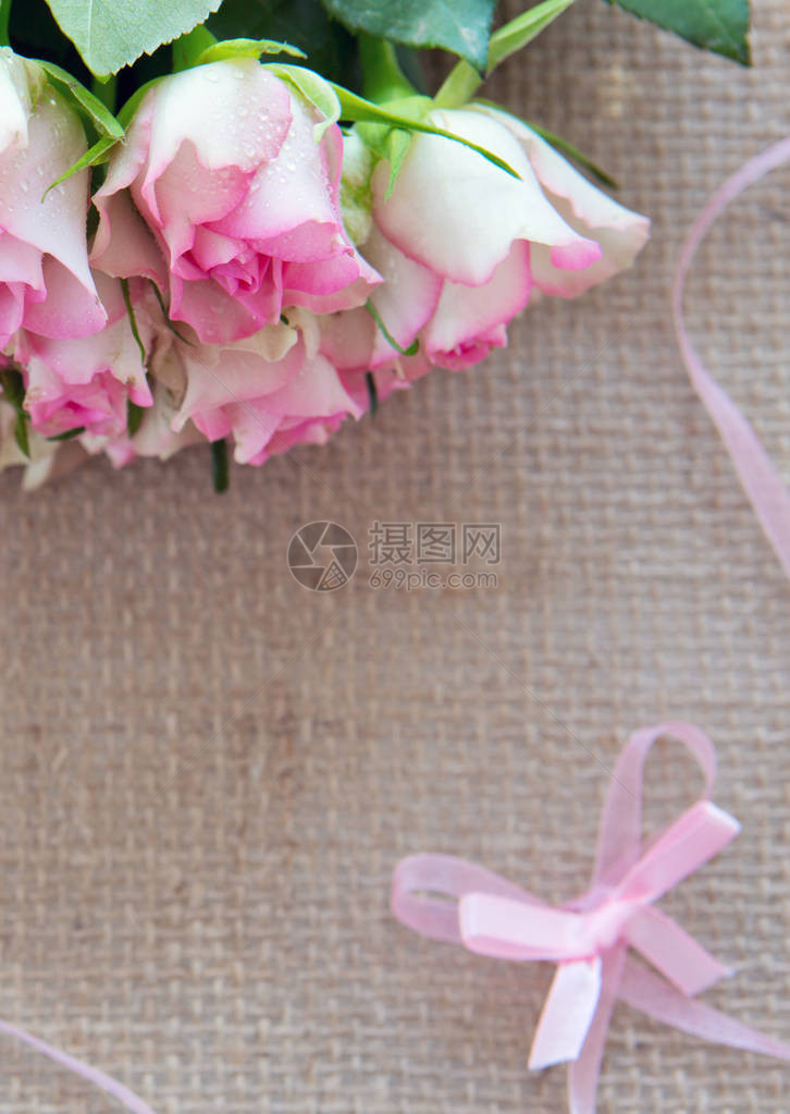 布背景上的节日粉红玫瑰装饰春天贺卡图片