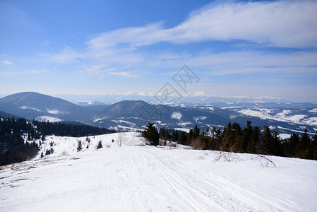 雄伟的冬季景观在早晨被阳光照亮戏剧寒冷场景地点喀尔巴阡山脉图片