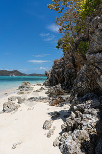 热带海滩风景树木白沙图片