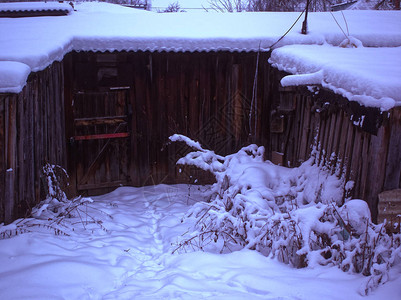 冬天在农村的老图片